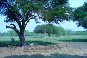 Photo of 4306 NE 28th St